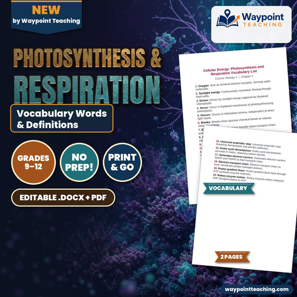 Photosynthesis & Respiration Vocabulary Words & Definitions cover