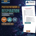 Photosynthesis & Respiration Vocabulary Words & Definitions cover