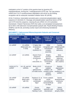 Post-Transcriptional Pre-mRNA Processing: 5'-Capping, Polyadenylation, and Spliceosomal Alternative Splicing CER Phenomena Worksheet sample page