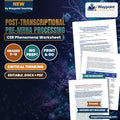 Post-Transcriptional Pre-mRNA Processing: 5'-Capping, Polyadenylation, and Spliceosomal Alternative Splicing CER Phenomena Worksheet cover