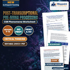 Post-Transcriptional Pre-mRNA Processing: 5'-Capping, Polyadenylation, and Spliceosomal Alternative Splicing CER Phenomena Worksheet cover