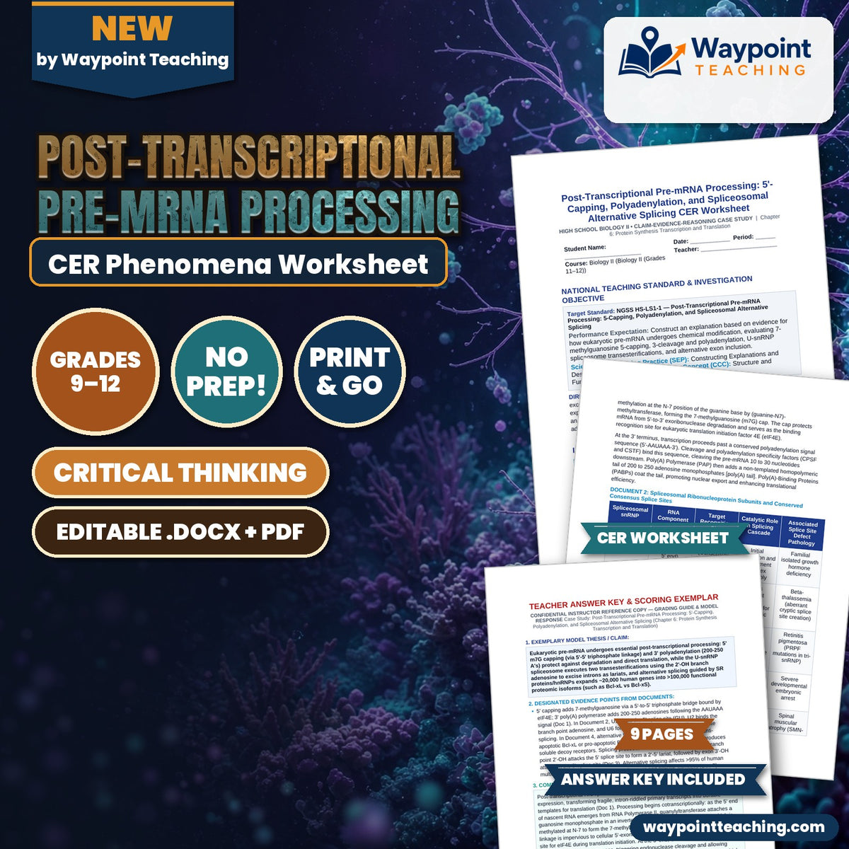 Post-Transcriptional Pre-mRNA Processing: 5'-Capping, Polyadenylation, and Spliceosomal Alternative Splicing CER Phenomena Worksheet cover