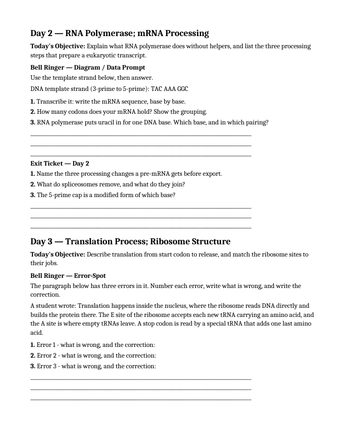 Protein Synthesis Bell Ringers & Exit Tickets sample page