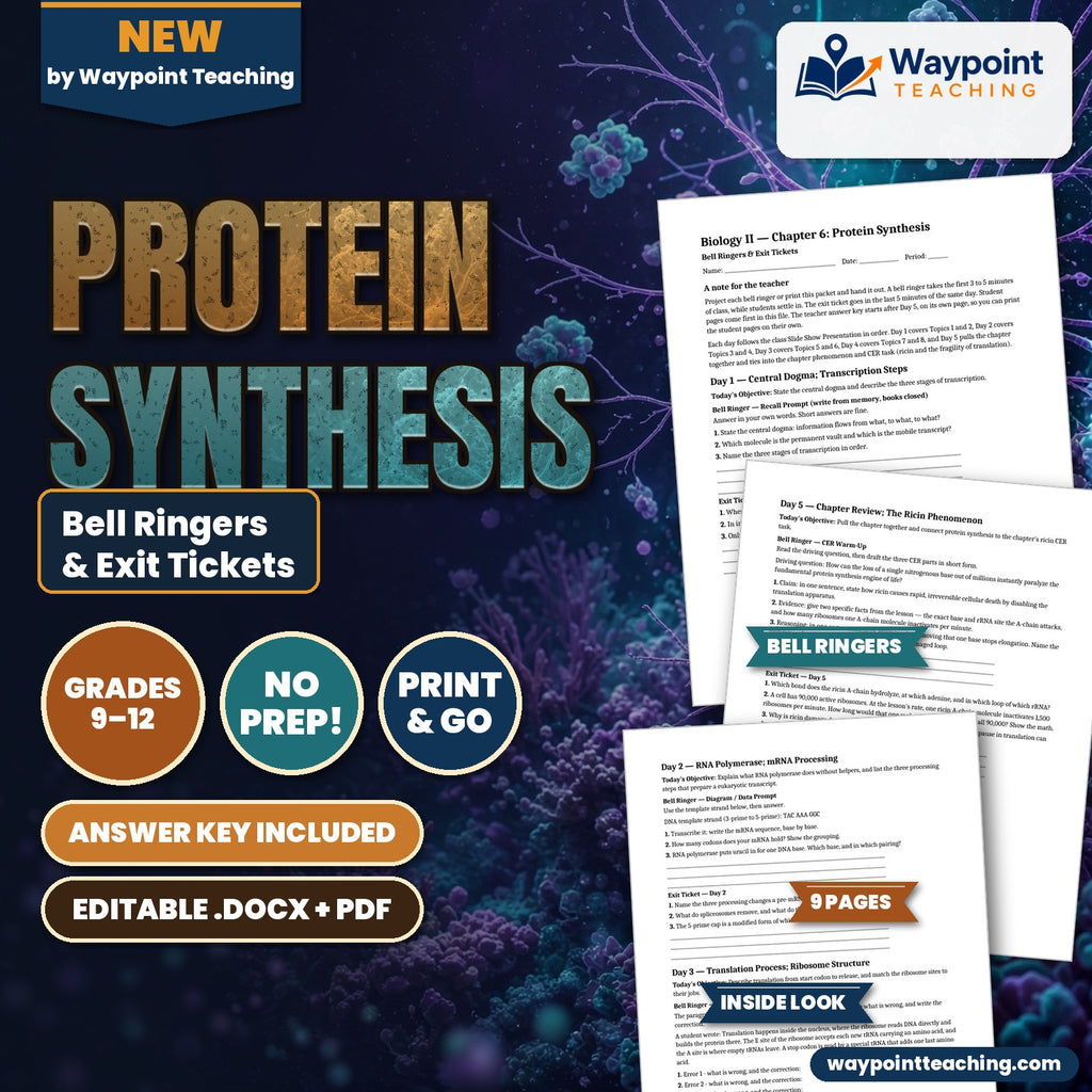 Protein Synthesis Bell Ringers & Exit Tickets cover
