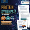 Protein Synthesis CER Task Cards cover
