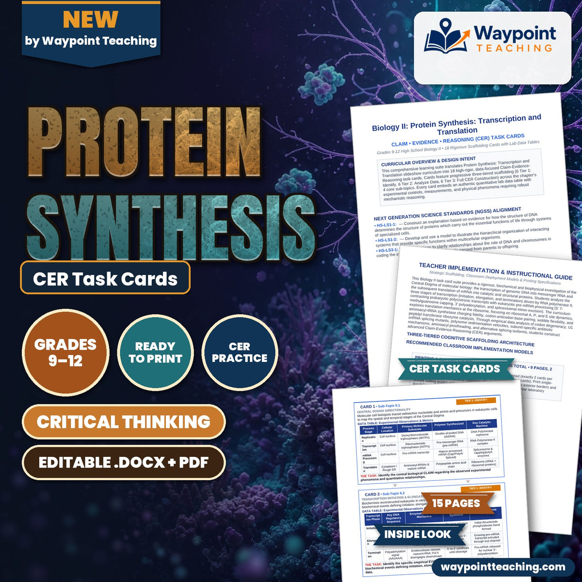 Protein Synthesis CER Task Cards cover