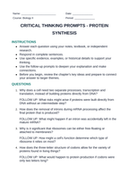 Protein Synthesis Critical Thinking Prompts sample page