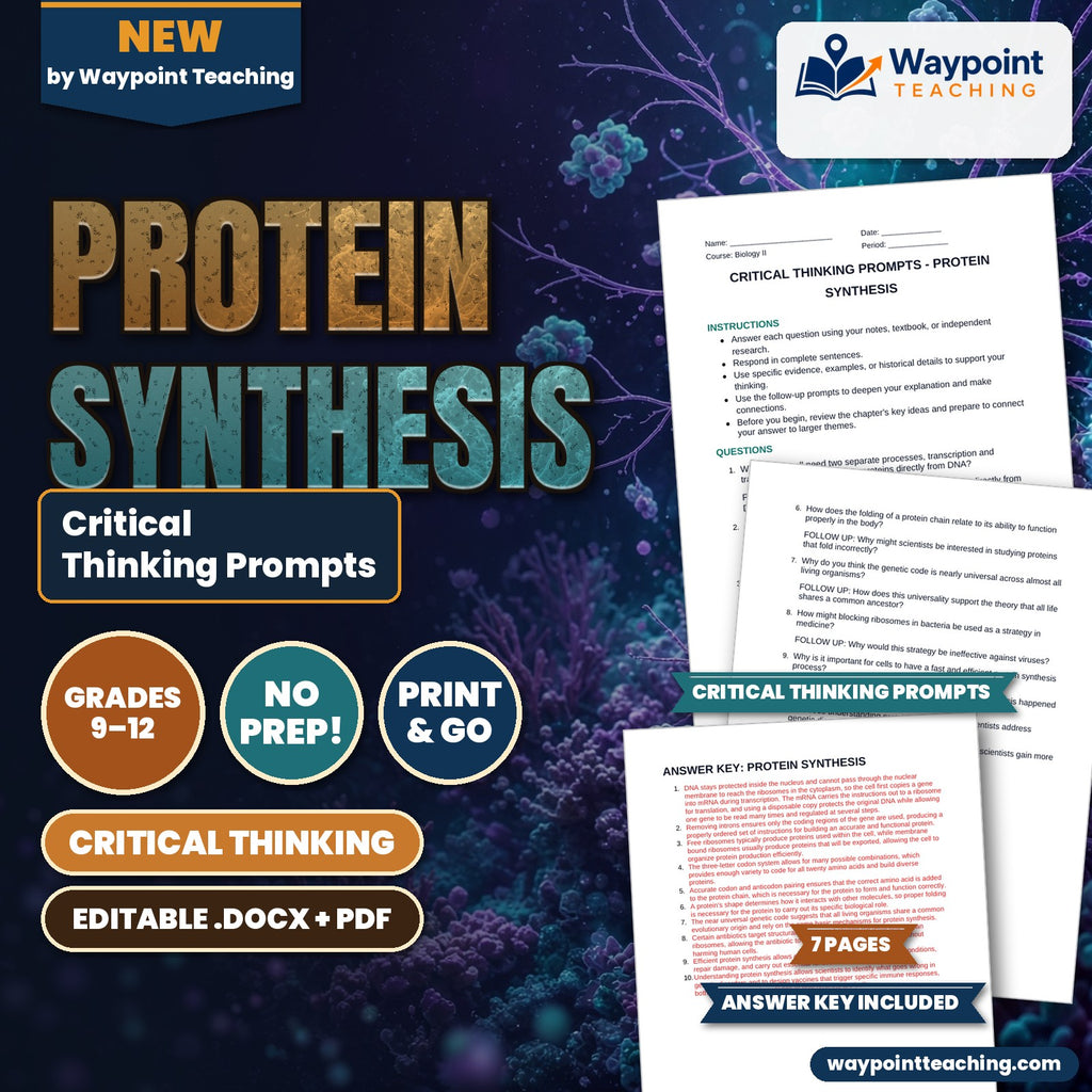 Protein Synthesis Critical Thinking Prompts cover