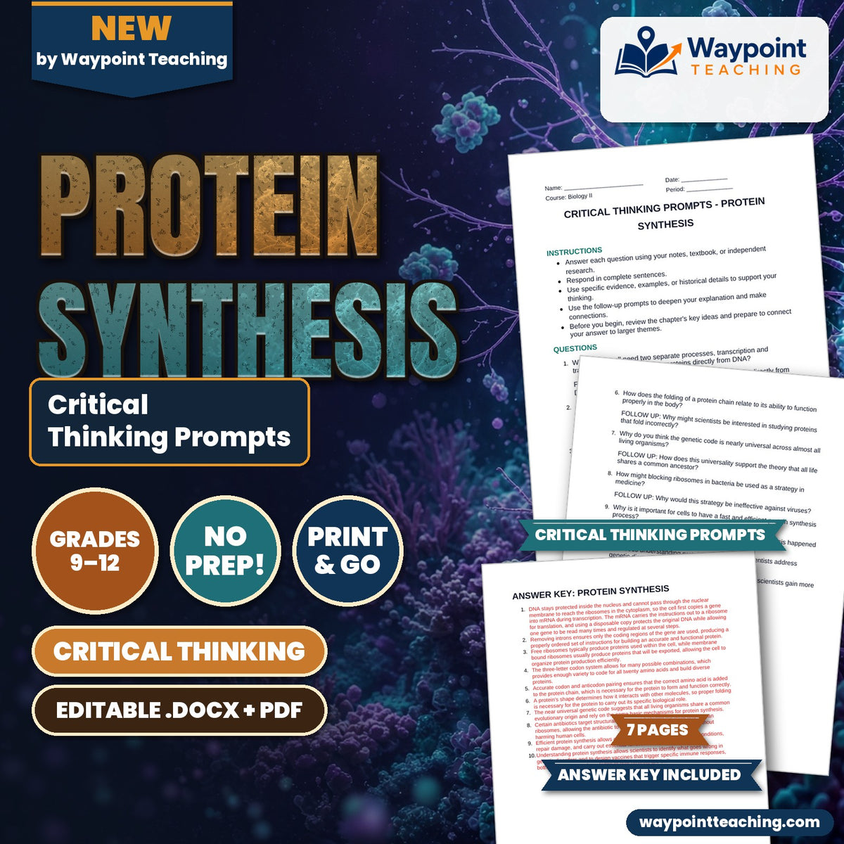 Protein Synthesis Critical Thinking Prompts cover