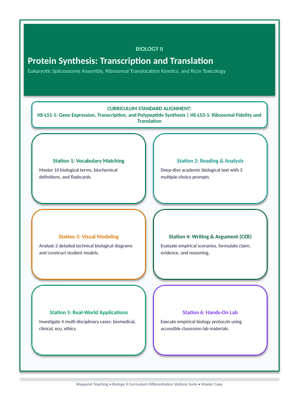 Protein Synthesis Differentiation Stations sample page