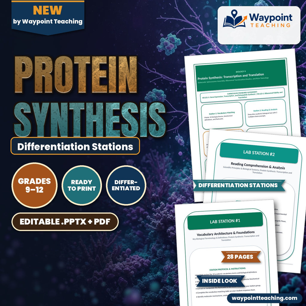 Protein Synthesis Differentiation Stations cover