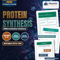Protein Synthesis Differentiation Stations cover