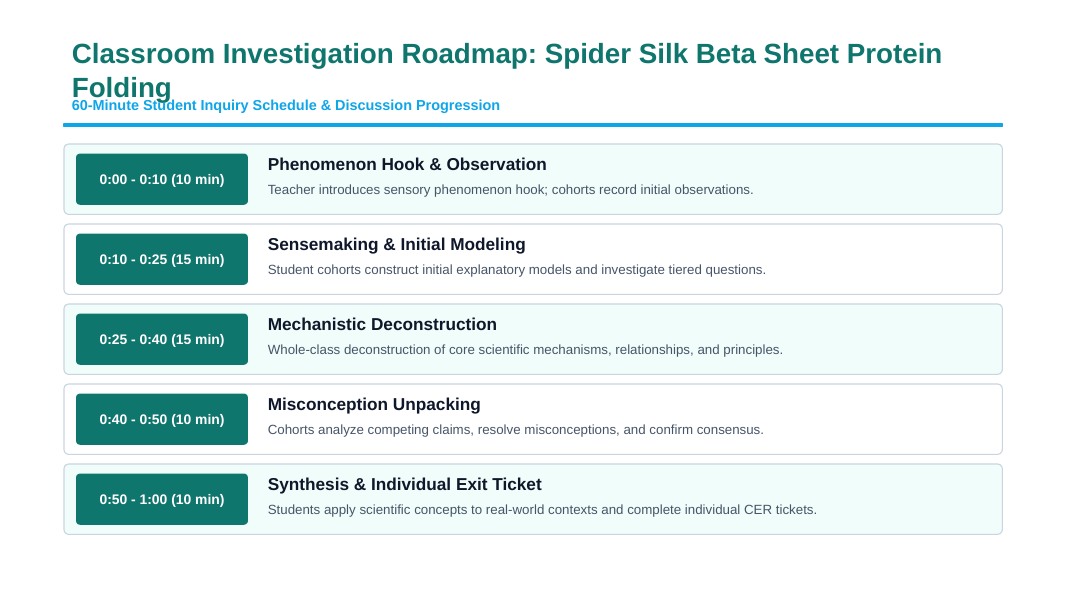 Protein Synthesis Phenomena-Based Lesson: The Molecular Riddle of Spider Dragline Silk: Stronger Than Steel, Tougher Than Kevlar Presentation sample page