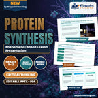 Protein Synthesis Phenomena-Based Lesson: The Molecular Riddle of Spider Dragline Silk: Stronger Than Steel, Tougher Than Kevlar Presentation cover
