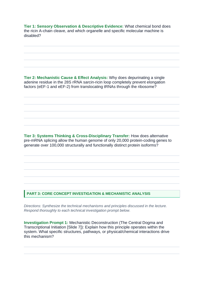 Protein Synthesis Phenomena-Based Lesson: The Molecular Riddle of Spider Dragline Silk: Stronger Than Steel, Tougher Than Kevlar Student Response Sheet sample page