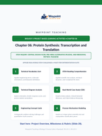 Protein Synthesis Project-Based Learning Activity sample page