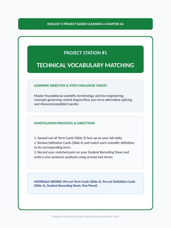 Protein Synthesis Project-Based Learning Activity sample page
