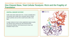Protein Synthesis Scaffolded Phenomena-Based Lesson: One Cleaved Base, Total Cellular Paralysis: Ricin and the Fragility of Translation Presentation sample page