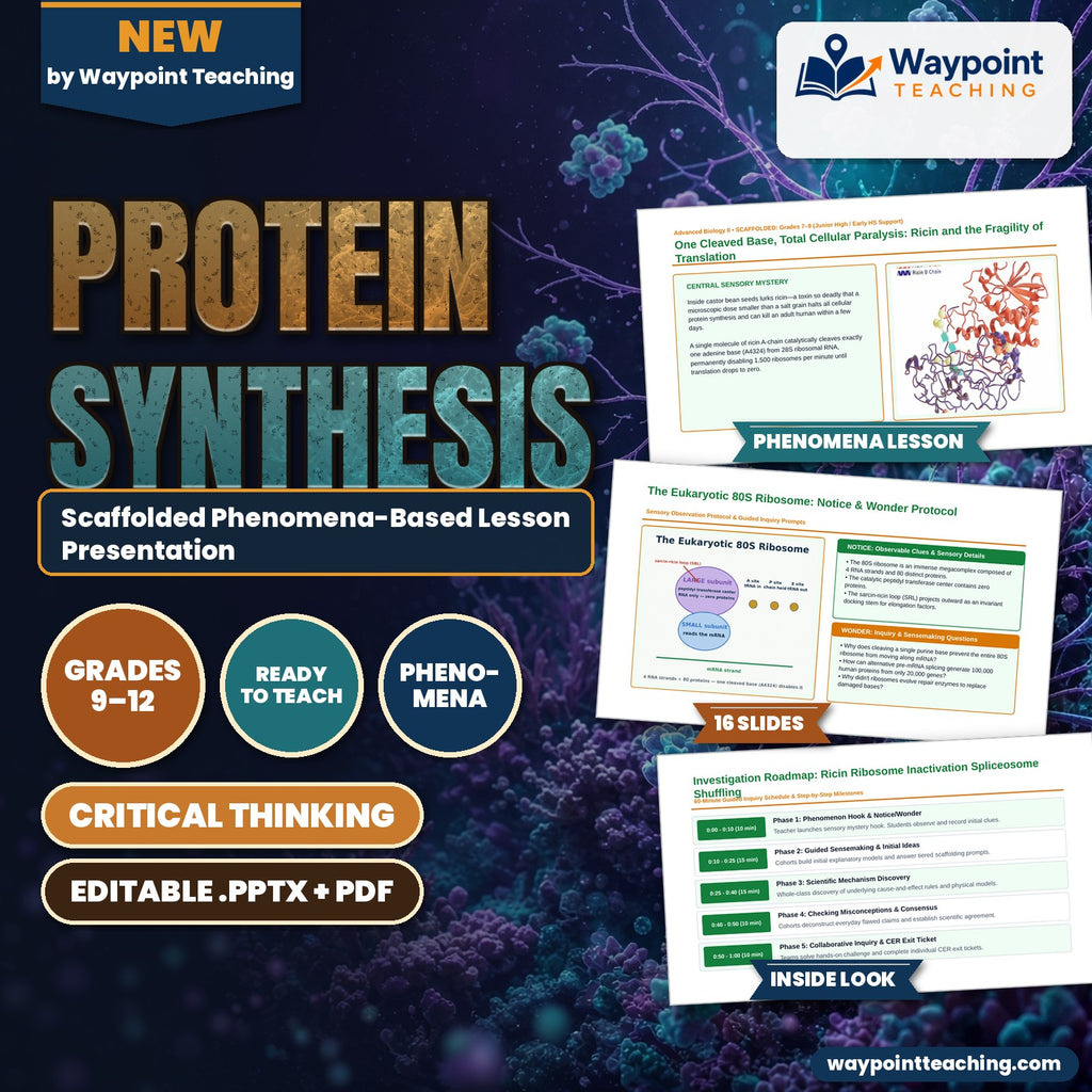 Protein Synthesis Scaffolded Phenomena-Based Lesson: One Cleaved Base, Total Cellular Paralysis: Ricin and the Fragility of Translation Presentation cover