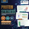 Protein Synthesis Scaffolded Phenomena-Based Lesson: One Cleaved Base, Total Cellular Paralysis: Ricin and the Fragility of Translation Presentation cover