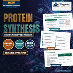 Protein Synthesis Slide Show Presentation cover