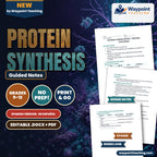 Protein Synthesis Spanish Guided Notes cover