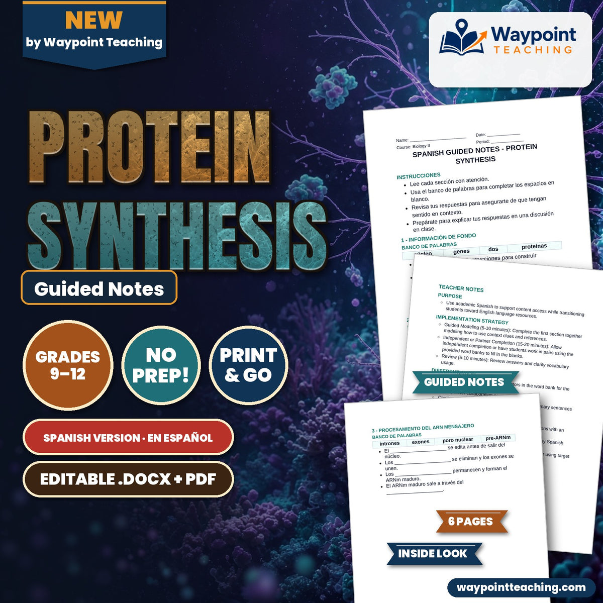 Protein Synthesis Spanish Guided Notes cover