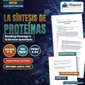 Protein Synthesis Spanish Reading Passage & Comprehension Questions cover