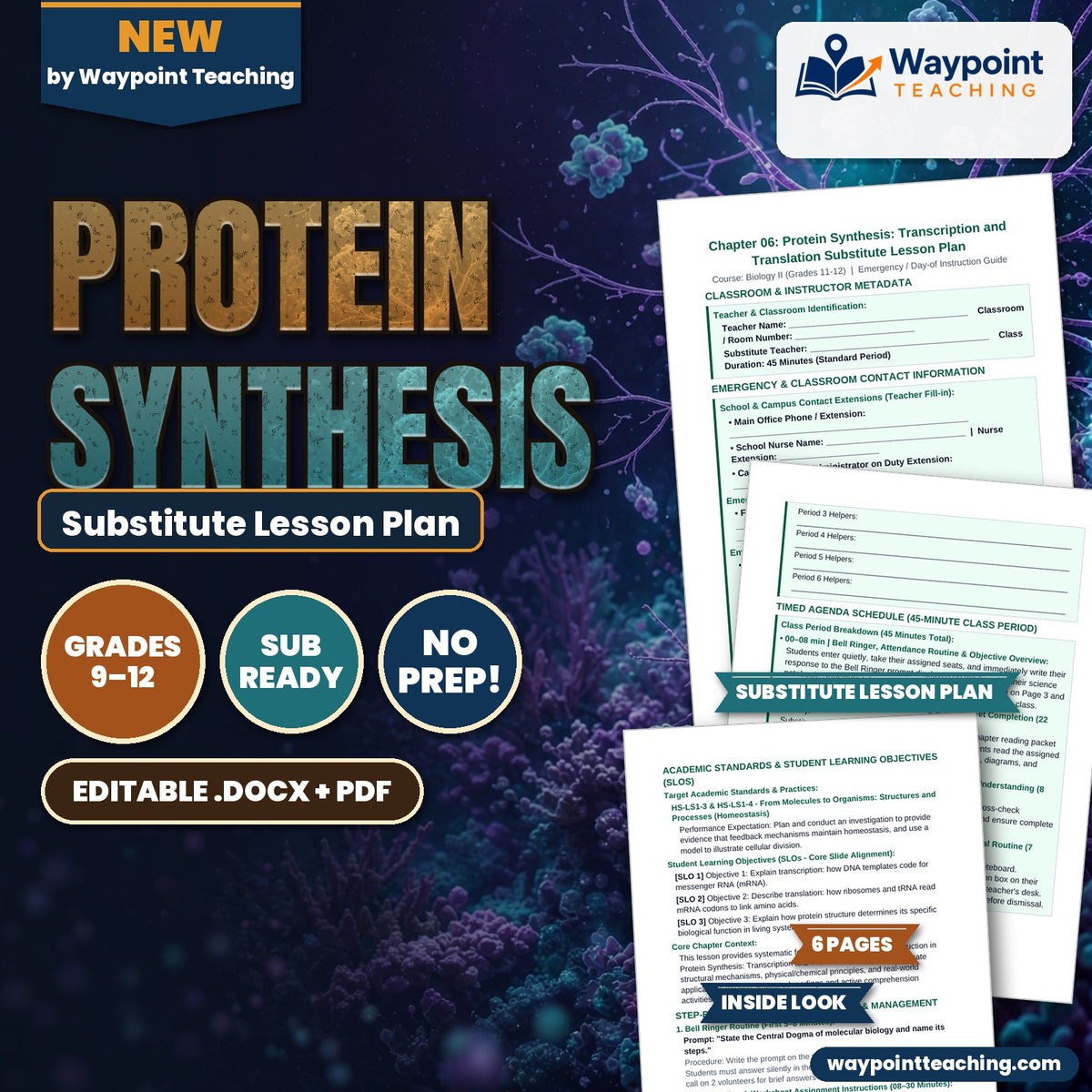 Protein Synthesis Substitute Lesson Plan cover