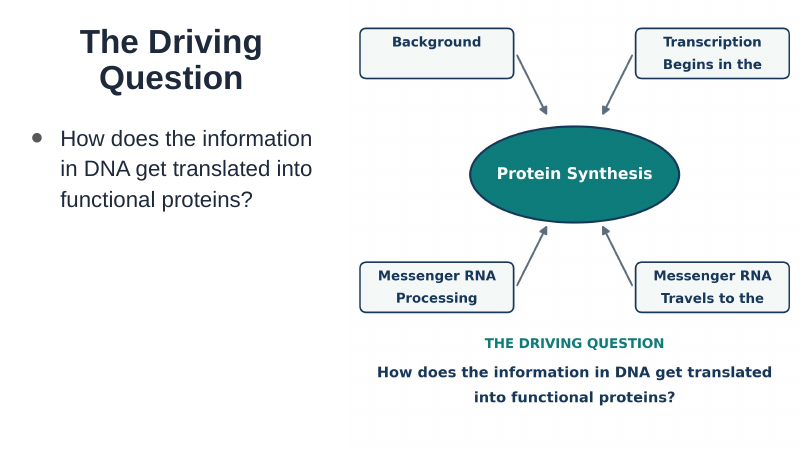 Protein Synthesis Substitute Slideshow & Teacher Guide sample page