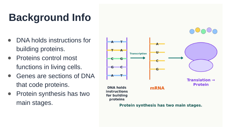 Protein Synthesis Substitute Slideshow & Teacher Guide sample page