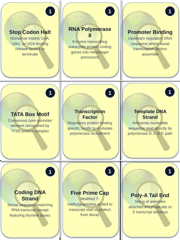 Protein Synthesis Trivia Board Game sample page