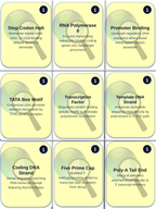 Protein Synthesis Trivia Board Game sample page
