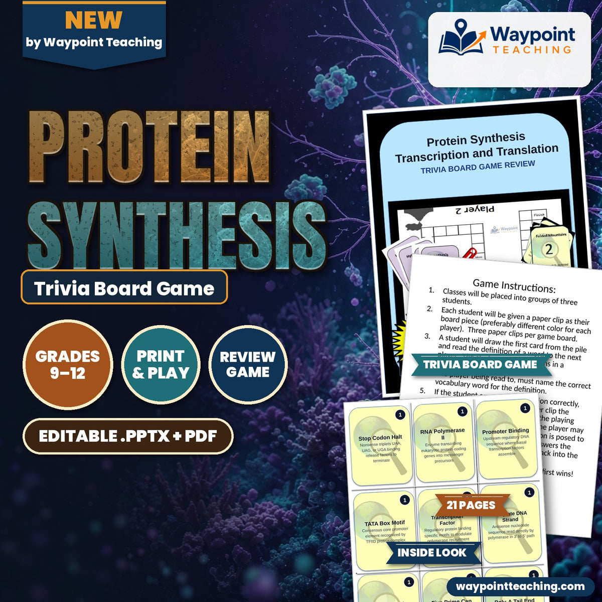 Protein Synthesis Trivia Board Game cover