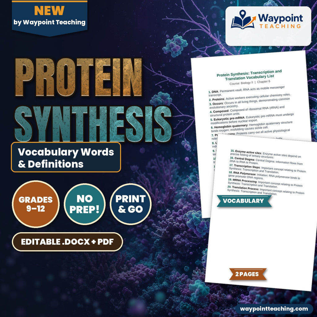Protein Synthesis Vocabulary Words & Definitions cover