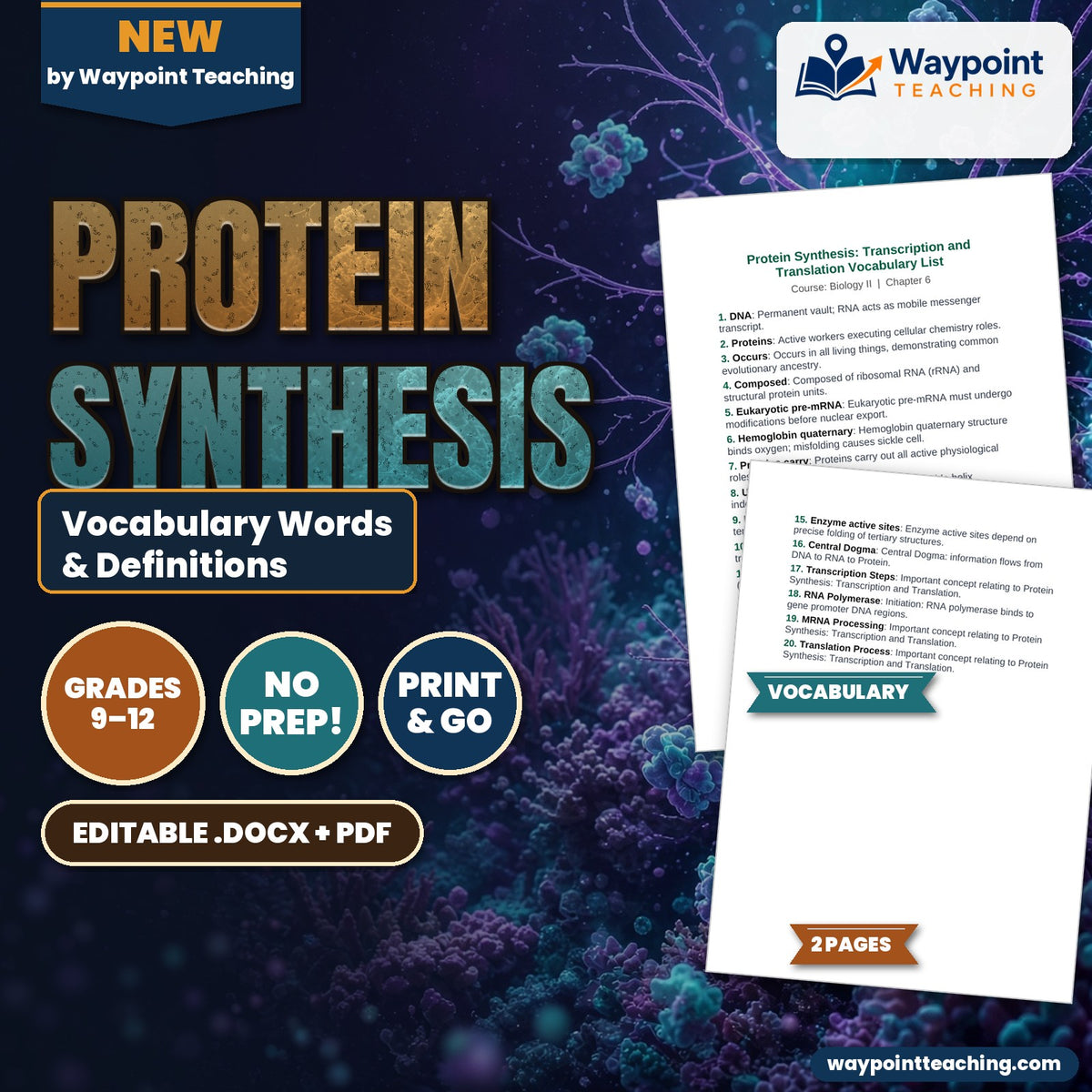 Protein Synthesis Vocabulary Words & Definitions cover