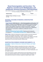 Renal Osmoregulation and Excretion: The Nephron, Countercurrent Multiplication, and Antidiuretic Hormone Dynamics CER Phenomena Worksheet sample page
