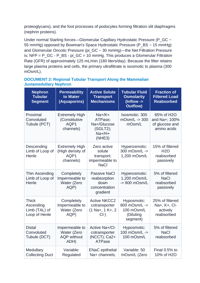 Renal Osmoregulation and Excretion: The Nephron, Countercurrent Multiplication, and Antidiuretic Hormone Dynamics CER Phenomena Worksheet sample page