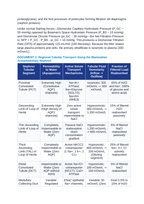 Renal Osmoregulation and Excretion: The Nephron, Countercurrent Multiplication, and Antidiuretic Hormone Dynamics CER Phenomena Worksheet sample page