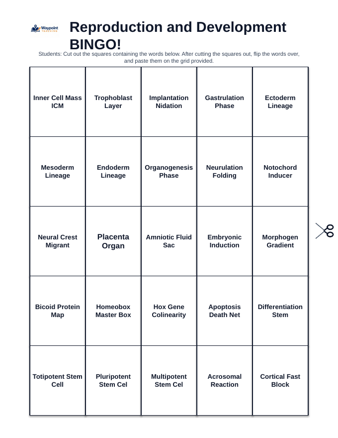 Reproduction & Development BINGO Review Game sample page