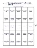 Reproduction & Development BINGO Review Game sample page