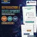Reproduction & Development BINGO Review Game cover