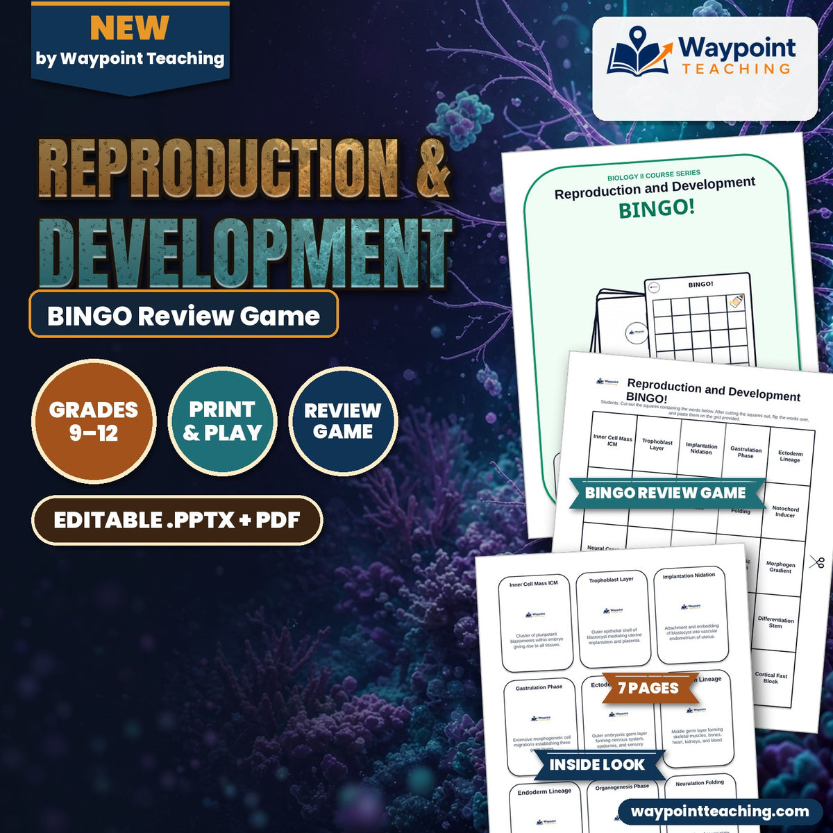 Reproduction & Development BINGO Review Game cover