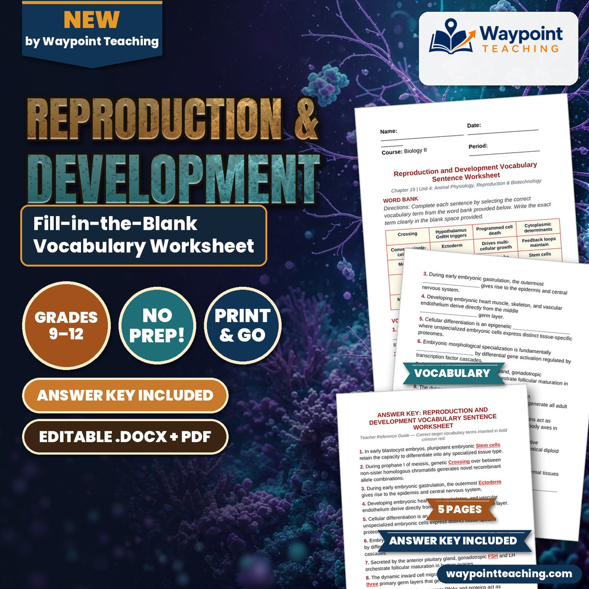 Reproduction & Development Fill-in-the-Blank Vocabulary Worksheet cover