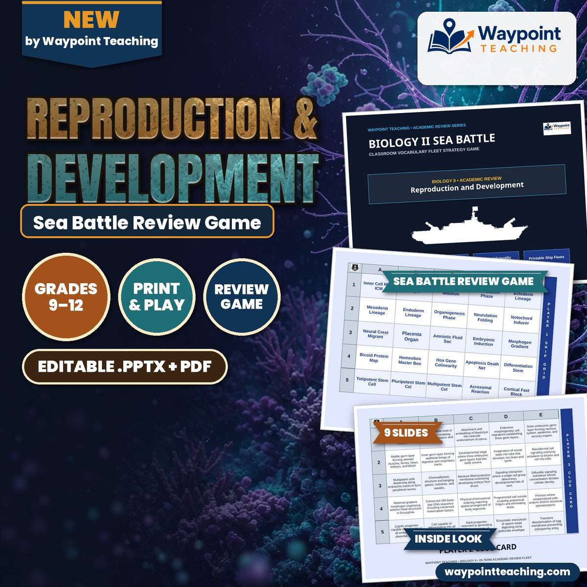 Reproduction & Development Sea Battle Review Game cover