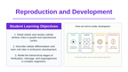 Reproduction & Development Slide Show Presentation sample page