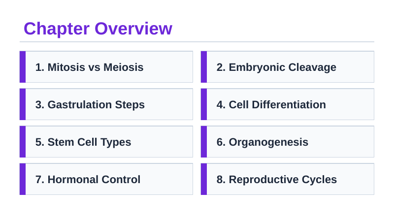 Reproduction & Development Slide Show Presentation sample page
