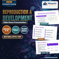 Reproduction & Development Slide Show Presentation cover