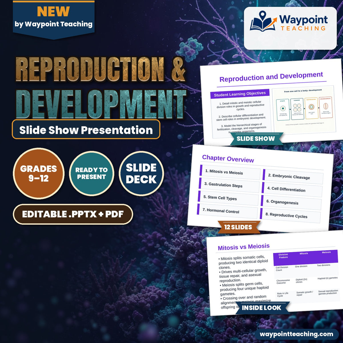 Reproduction & Development Slide Show Presentation cover