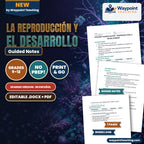 Reproduction & Development Spanish Guided Notes cover